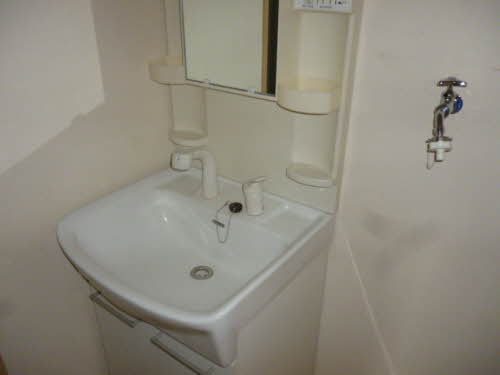 ＴＳアルカディア 202号-7