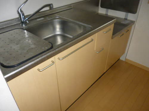 ＴＳアルカディア 202号-13