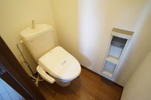 ハイネス十日町 201号-11