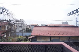 ハイネス十日町 203号-9