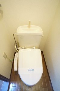 ハイネス十日町 203号-11