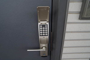 アラバスタ金剛 203号-2