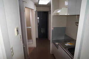 アラバスタ金剛 203号-9