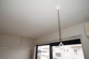 アラバスタ金剛 203号-11