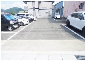 パースニップ・ｆ 103号-13