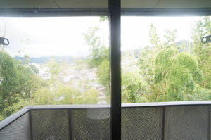 パーシモンヒルズ・Ｎ 203号-8