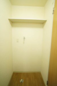 パーシモンヒルズ・Ｎ 203号-10