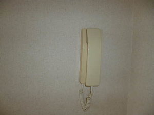 ラフィーネかみのやま 101号-9