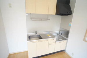 ソディアA 202号-3