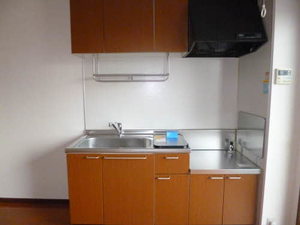 メゾン・ド・シャルム 203号-10