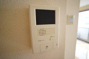 パークサイドマルサB 201号-10