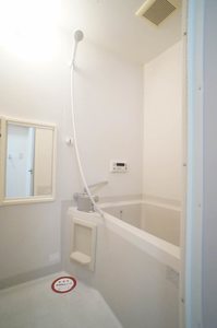 フィオレ　ルガール　Ｃ 203号-10