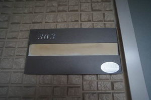 ＭＡＩＳＯＮ・ＭＡＳＴ城南 303号-2