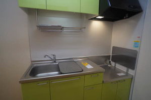 ＭＡＩＳＯＮ・ＭＡＳＴ城南 303号-9