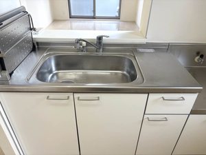 ピュア　フラッツ A103号-3