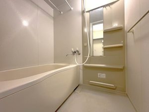 ピュア　フラッツ B102号-5