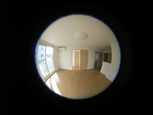 ブランフルール A103号-3