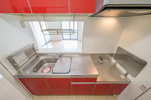 シャーメゾン薬師 203号-5