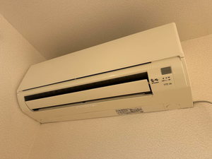 カーサ　ブランカ 203号-9