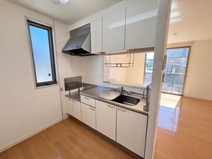 プルメリアA A101号-4