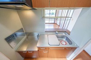 ＳＵＮ　ＳＨＩＮＥ　Ⅴ 101号-5