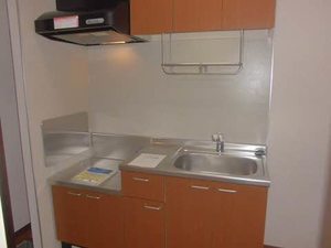 ＳＵＮ　ＳＨＩＮＥ　Ⅴ 102号-5