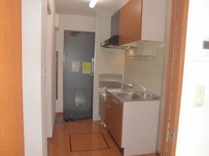 ＳＵＮ　ＳＨＩＮＥ　Ⅴ 102号-9