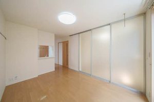 フェアリー・シュナ 101号-3