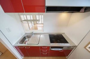 フェアリー・シュナ 101号-4