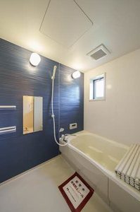 フェアリー・シュナ 101号-7