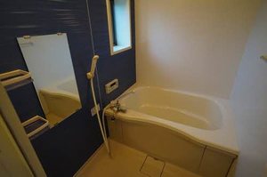 シャーメゾンアルファ　Ⅰ A201号-11