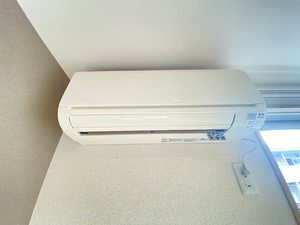 フランシーズ 101号-11