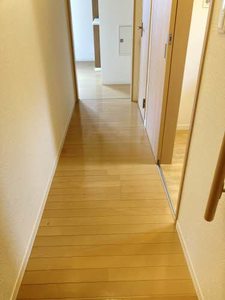 メゾンピュア 101号-3