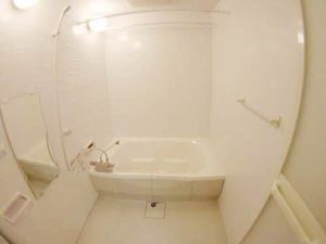 シャーメゾンセレナータＡ A202号-2