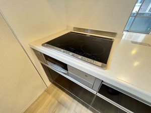 シャーメゾン リツオウ Ⅱ A102号-10