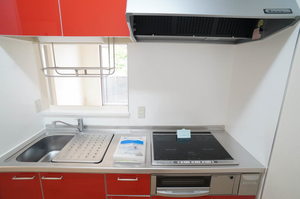 メゾンマスト南中央 C102号-4