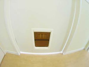 シャーメゾンタウン八重田Ｃ C202号-6