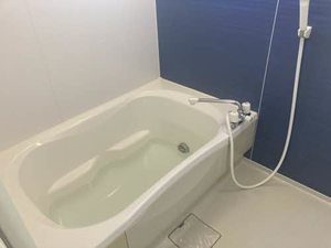 La Maison du Renard 103号-9