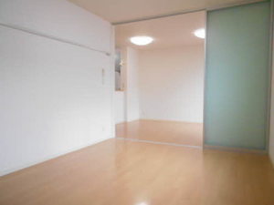 フィルゲートＡ A101号-6