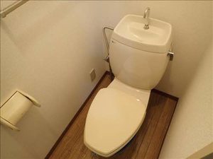 ヤマトハイツⅡE 102号-13