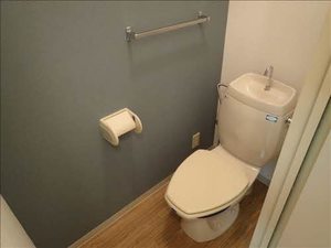 ヤマトハイツⅡＧ 102号-9