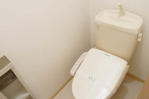 シャーメゾンヴァイス 102号-8