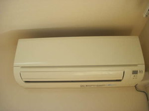 アプリコット B102号-12