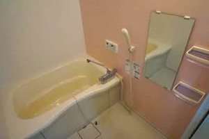 シャーメゾンＬ 203号-4