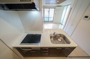 メゾンマスト南館 203号-5