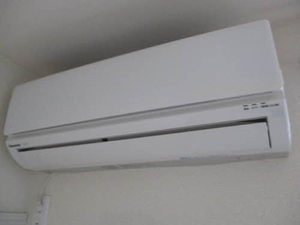 ジュジョールB B203号-6