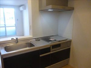 シャーメゾン城 102号-3