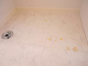 ドルチェⅠ A102号-15