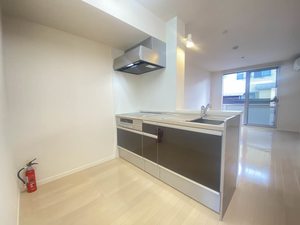 ウィスティアリア御前 102号-4