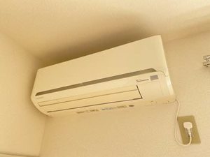 ドミールいつき 203号-11